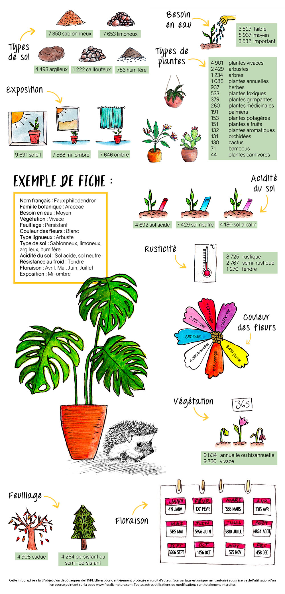 Catalogue Graines et plantes tropicales - Boutique Végétale
