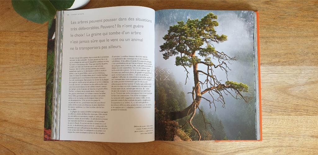 La vie secrète des arbres - Edition intégrale illustrée de 150