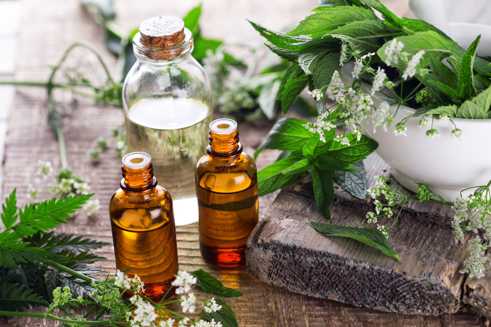 L'aromathérapie : des huiles essentielles au quotidien